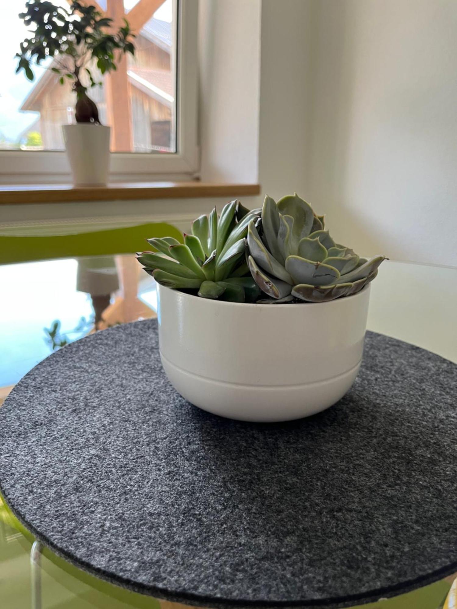 Appartement Seehof Nassereith Kültér fotó